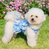 Animal de compañía cuerda de tracción para perros ropa de gato chaleco tipo traje de tracción teddy by bear salir a caminar perro cuerda correa de pecho details Picture